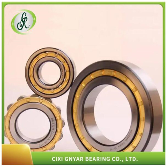 Gas Turbines Bearing Model Full Complement Cylindrical Roller Bearing