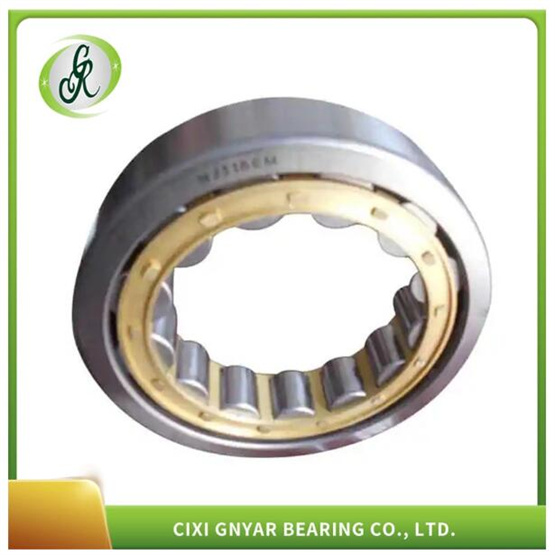 Factory Supply Cylindrical Roller Bearing